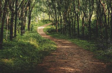 Customer Journey