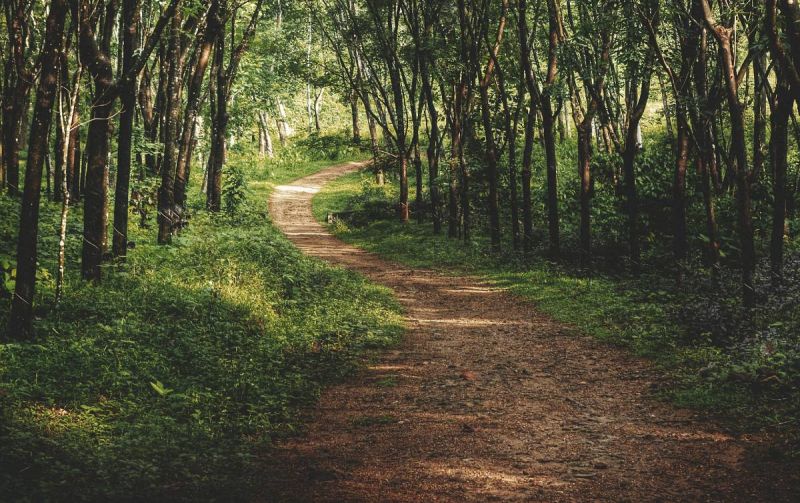 Customer Journey